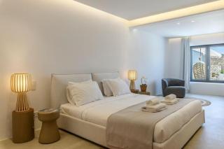 Roka Bonita Villa Mykonos - Ftelia - 8