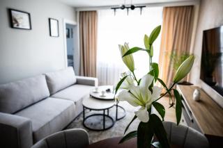 Apartament Władysławowo - Władysławowo - 9