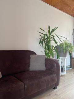 apartement - 5