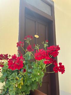 Depandance Eleonora - Oristano - 9