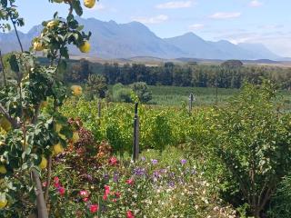 Klaasvoogds Loft - 7