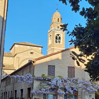 Sansovino Home - Fano - 2