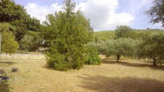 Gite au calme en campagne - Figanières - 9