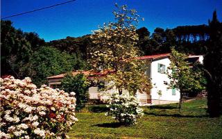 Gite au calme en campagne - 8