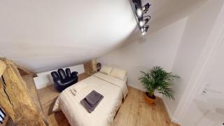 Loft d exception Hyper-centre Albi UNeSCO - Albi - 3