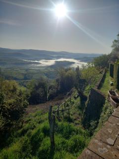 Autenticum Agriturismo Tolfa - Tolfa - 6