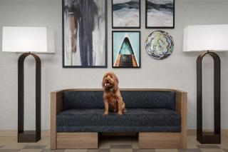 Homewood Suites by Hilton Seattle/Lynnwood - Lynnwood - 2