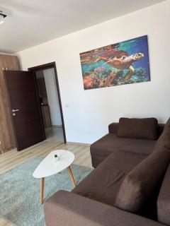 Lira Holiday Apartments - Eforie Nord - 2