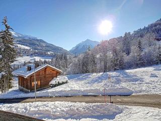 La Clusaz - Apt 4 pers, 35 m², Balcon, Casier à skis - FR-1-818-107 - La Clusaz - 2