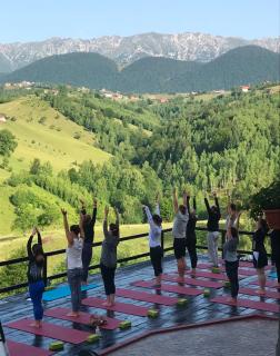 Akasha Wellness and Yoga Retreat Adult Only - Bran - 0