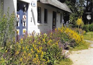 Achtern Diek Haus 8 Wohnung 3 - Zingst - 9