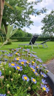 Hoeve Zandbelt - Markelo - 7