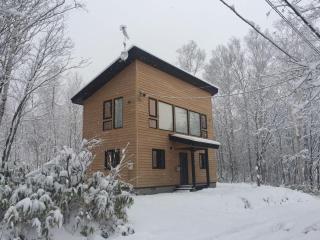 Forest Hideaway - Niseko - 8