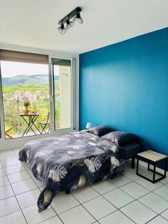 T3 lumineux, parking privé, calme, jolie vue - Saint-Étienne - 2
