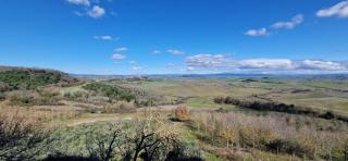 Agriturismo La Rugiada - Monteroni d'Arbia - 1