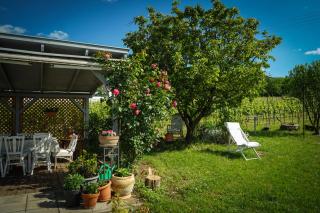 Pinot Gris House - Káptalantóti - 6