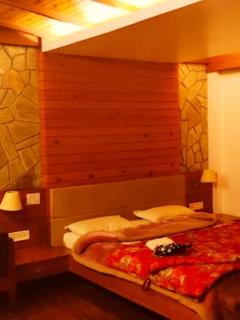Hotel Darj Inn - Darjeeling - 5