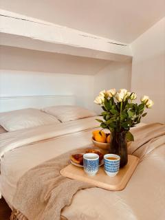 Charming studio, bright, central, quiet - Saint-Étienne - 1