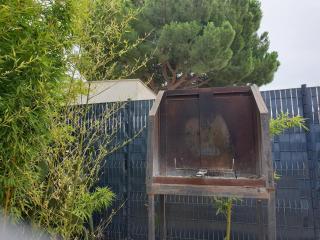 Nice apartment with garden - 2