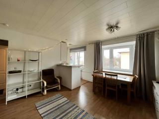 Pepleri 12 apartment in the centre - Tartu - 3