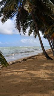 Beach and comfort - Las Terrenas - 8