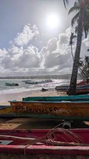 Beach and comfort - Las Terrenas - 9