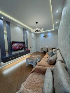 Central Comfort Flat - Baku - 0