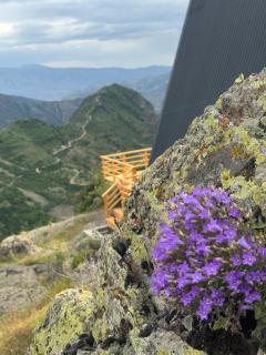 SapsanLodge - Artabuynkʼ - 5