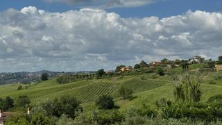 Linda's Retreat - Fiano Romano - 3