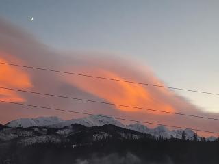 Domki nad Borem - Ciche Małe - 1