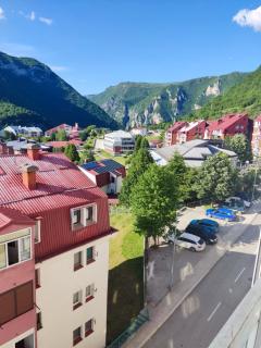 Apartman DUNJA - Plužine - 5