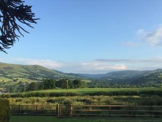 The Royston - Llanbrynmair - 6