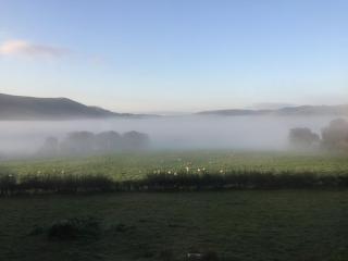 The Royston - Llanbrynmair - 5