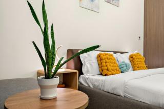 FIRST CLASS Studio Classy Comfort - 6