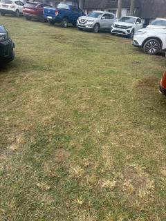 Royal roots stay - Manzini - 1
