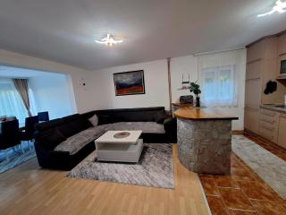Villa Forest - Bosanska Gradiška - 9