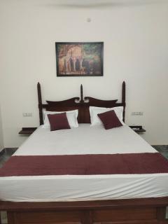 Ranthambore Grandview Mansion Hotel - Sawāi Mādhopur - 3