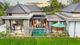 Jasmine Serenity Sunrise #2 - 9