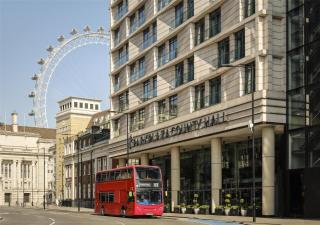 Park Plaza County Hall London - London - 0
