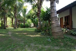 Coconut Scar Reef Homestay - Maluk - 5
