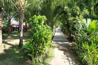 Coconut Scar Reef Homestay - Maluk - 6
