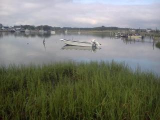Oyster Cottage in Historic Fishing Village cottage - Cape Charles - 0