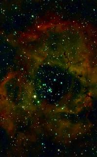 Woody Trails - Astronomy, Graphology, Family, Kainchi Dham - 7