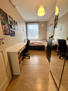 Newly renovated home with lots of light! - Bergen - 1