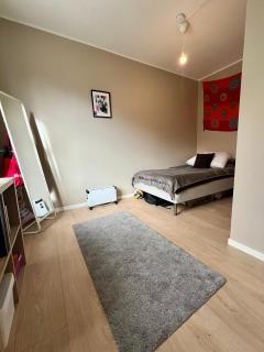 Newly renovated home with lots of light! - Bergen - 6