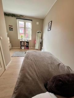 Newly renovated home with lots of light! - Bergen - 3
