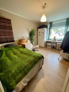 Newly renovated home with lots of light! - Bergen - 7