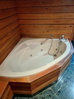 L'Appart' du Château avec sauna - Annecy 15 min - Alby - 8