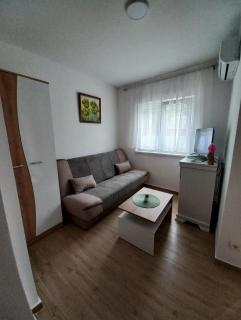 Apartman Višnja - Gornja Toplica - 0
