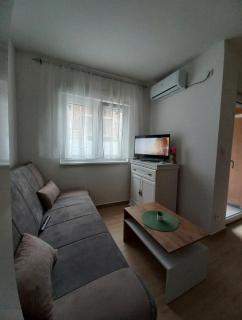 Apartman Višnja - Gornja Toplica - 3